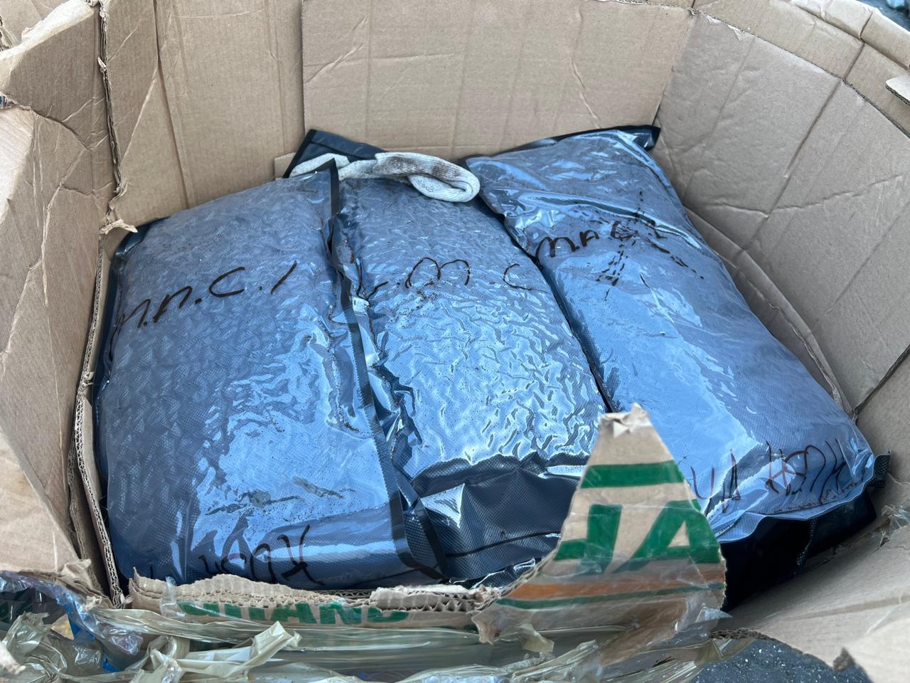 Autoridades ocupan 95 paquetes de marihuana en Puerto de Haina