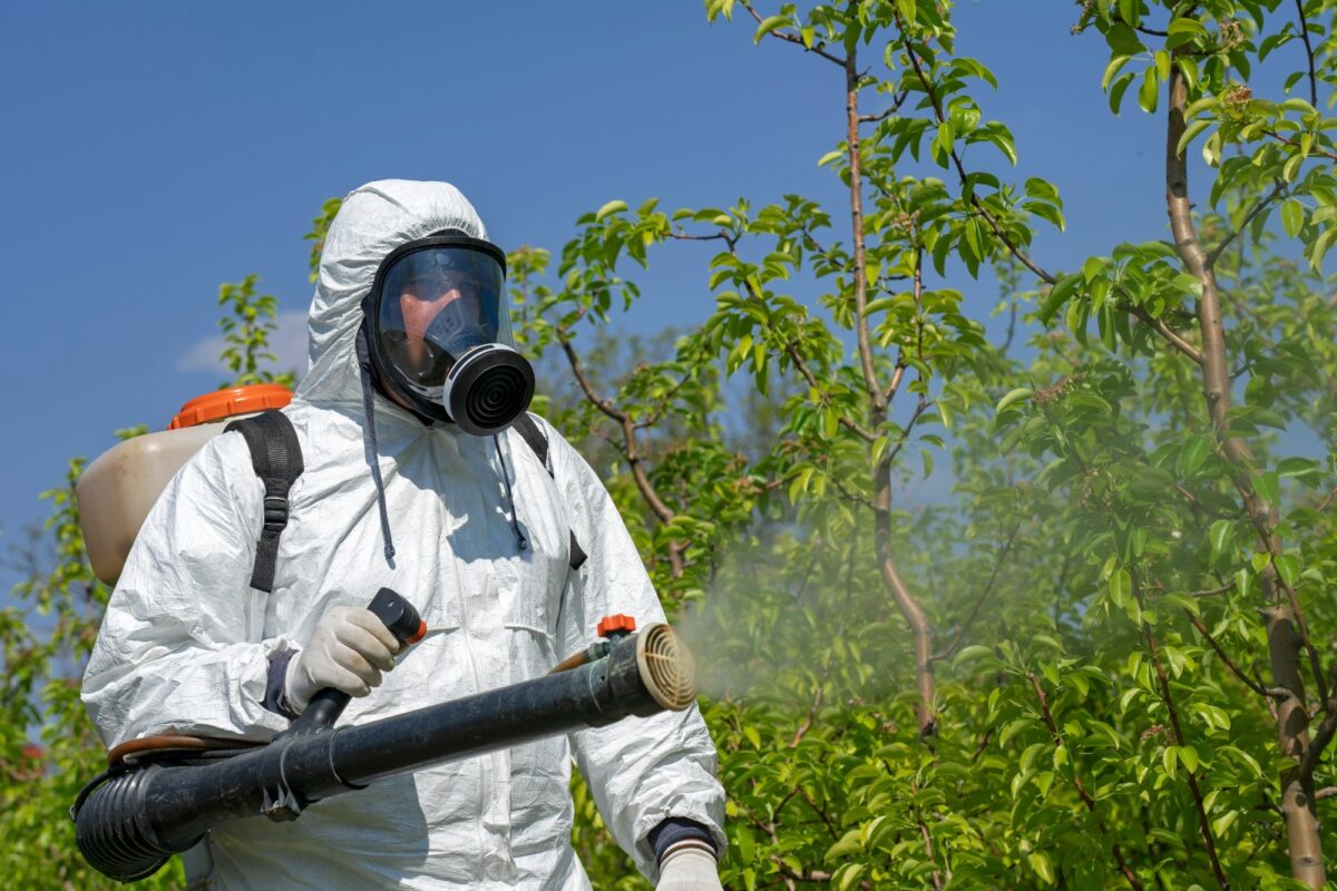 Fumigación preventiva reduce costos operativos durante temporada ciclónica