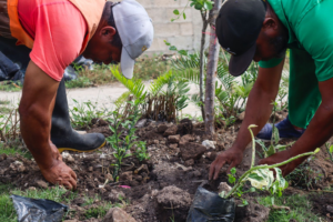 Digecac y RD-Vial siembran más de 20 mil plantas ornamentales en la Autopista del Coral y Las Américas