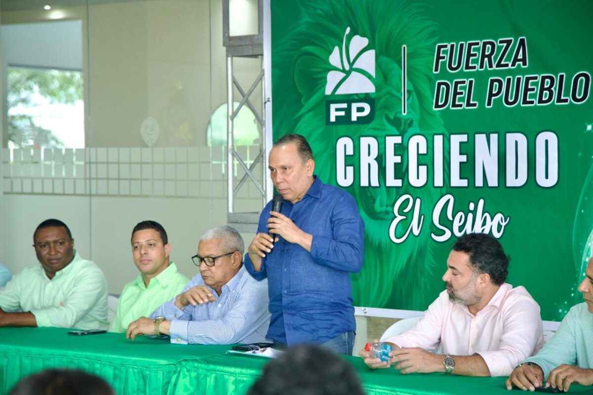 “En República Dominicana lo que tenemos de gobierno es una caricatura cómica”, afirma Radhamés Jiménez