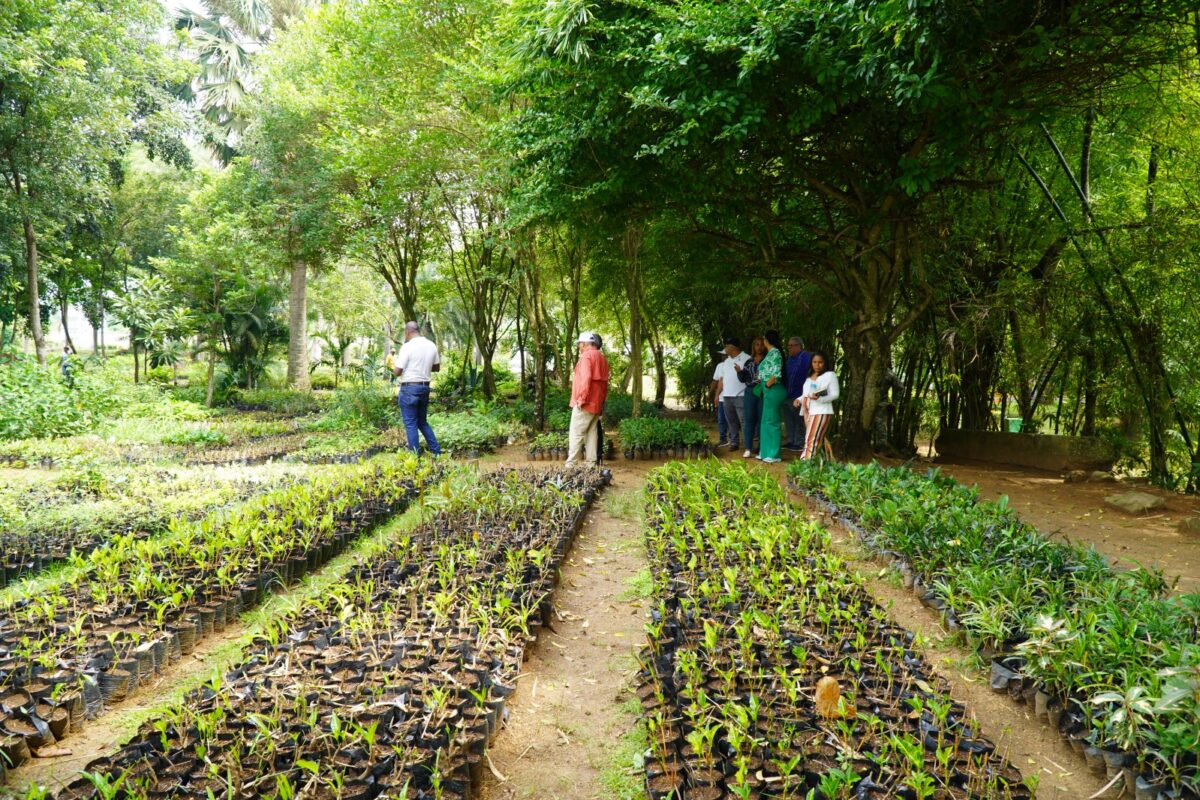 Digecac realizará Primer Festival de Plantas 2026