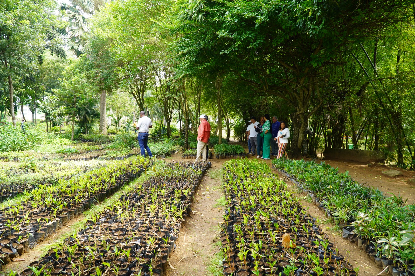 Digecac realizará Primer Festival de Plantas 2026