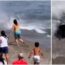 ¡Tremendo susto! Atún de 300 kilos persigue a bañista en playa de Marbella