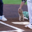 De gato rescatado a estrella del estadio en tiempo récord