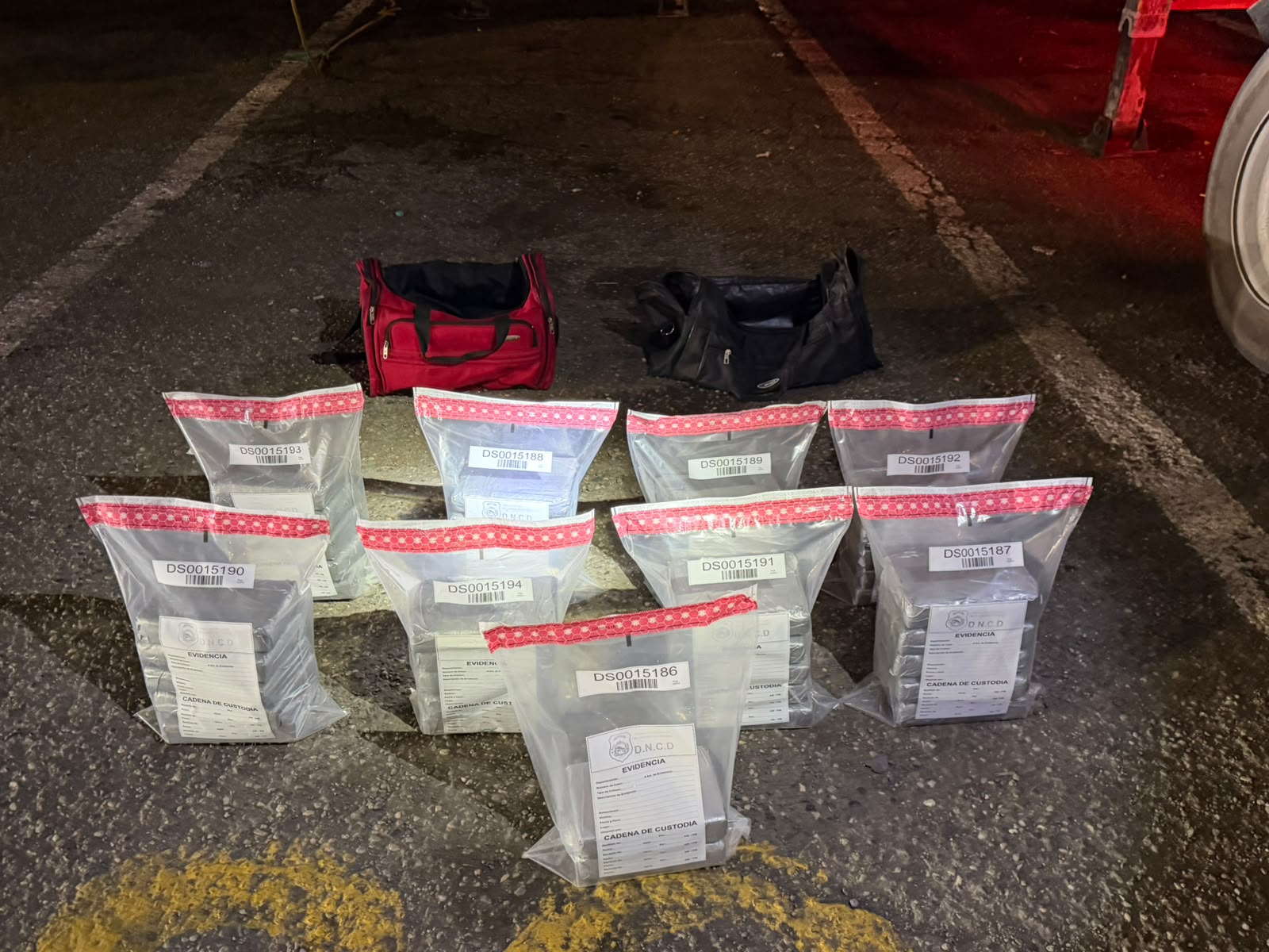 Intentaron sacar cocaína hacia Europa: hallan 42 paquetes en Caucedo